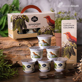 Coffee Arequipe Kit x 6 units