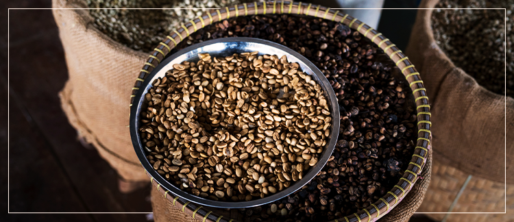 Coffee Classification – latiendadelcafe-us